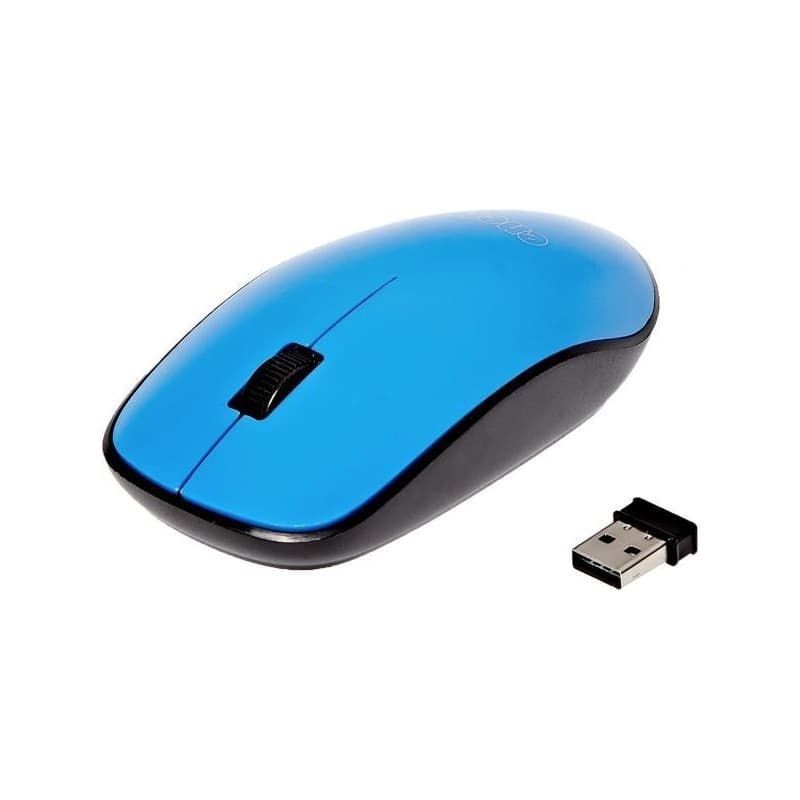 SOURIS SANS FIL CAPSYS G-212