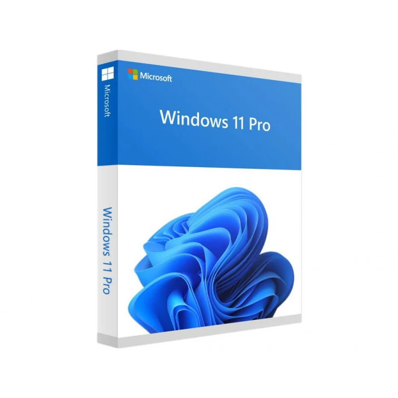 WINDOWS 11 PRO OEM